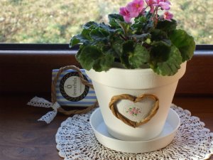 Most ez a kaspó a legnagyobb szerelem.